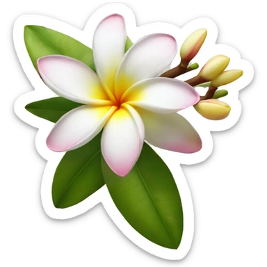 Frangipani sticker