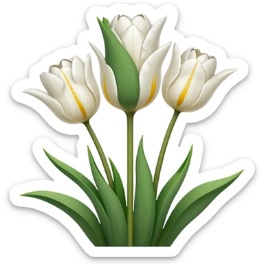 White tulips sticker