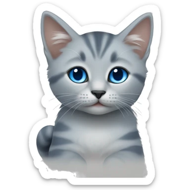 blue eyes grey kitten, piece of paper  sticker