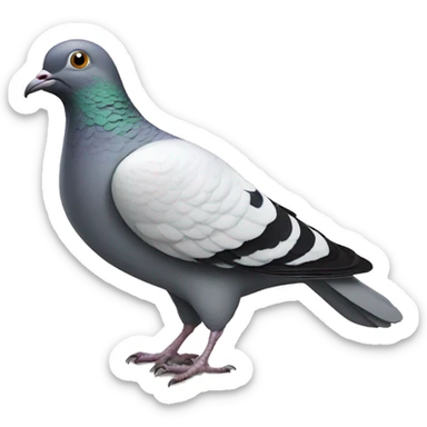 Pigeon letter  sticker