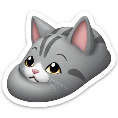 Grey cat put on slipper on its gead sticker