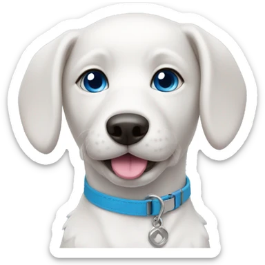 white model dog with blue eyes and pink collar sticker