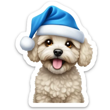 Maltipoo with a blue santa hat sticker