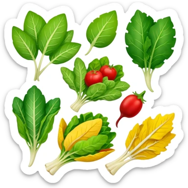 different salad leaves different colors  sticker