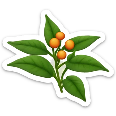 Create an emoji of a plant with a thin, slightly hairy green stem and oval, dark green, serrated leaves in opposite pairs. Add small greenish-yellow star-shaped flowers and round, reddish-orange berries at the leaf axils. sticker