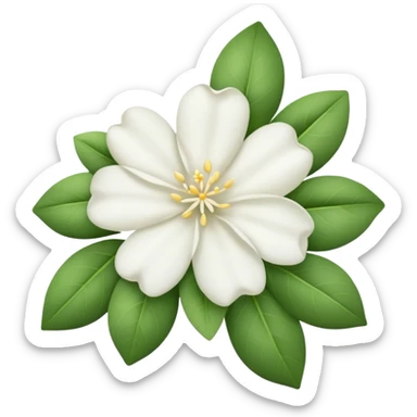 Jasmine flowers sticker
