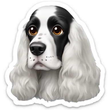 black and white english cocker spaniel with nose spots  sticker