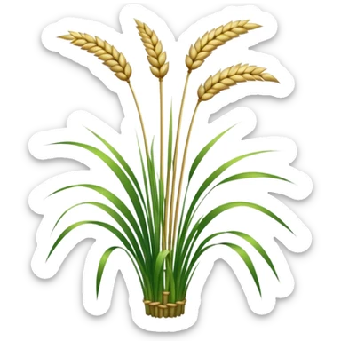 reed grass sticker
