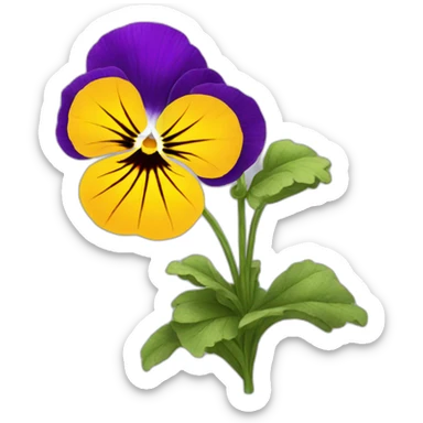 Pansy flower sticker