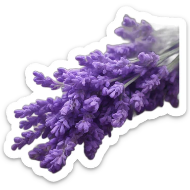 Lavender sticker