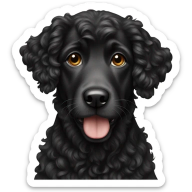 Black curly dog with  sticker
