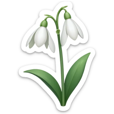 Snowdrop sticker