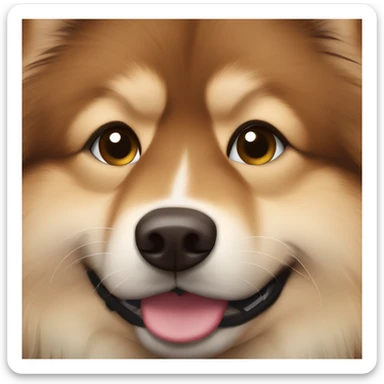 Finnish Lapphund brown. His nose and face are dark brown dotted sticker