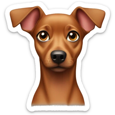 A pinscher dog looking forward with the link outside the mouth and the ears back like a  sticker