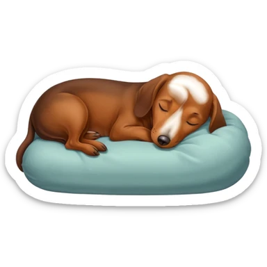 Perrito salchicha marrón duerme sticker