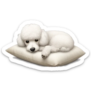 White cute small poodle sleeps on a pillow  sticker
