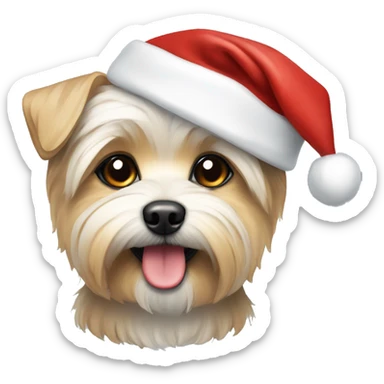 Morkie with a Santa hat sticker