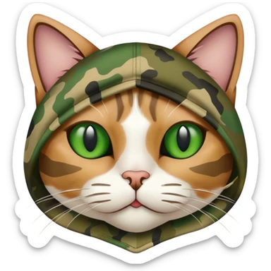 Cat wearing all camo sticker