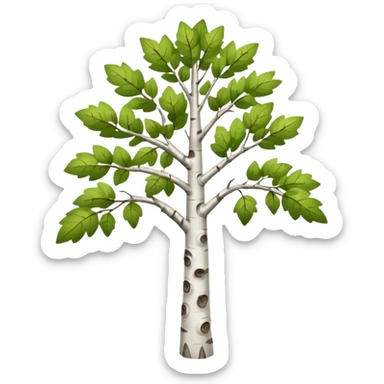 thin birch tree with many boughs sticker