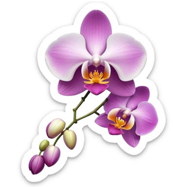 Orchidea sticker
