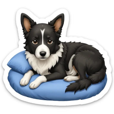  Dog blac and white sleep malinois and border collie  sticker