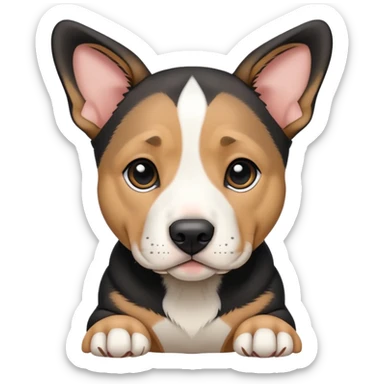 Pit bull/german shepherd mixed puppy colored black, tan and white withs ears folded over sticker