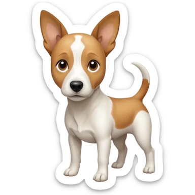 a full body facing front on of a buff white beagle cross jack russell terrier looking dog the size of a kelpie with light brown long ears resting on its face and a light brown patch above one eye and a large snout. the rest of the dog is completely white.  sticker