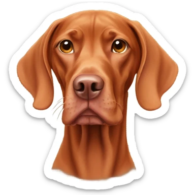 Hungarian vizsla sticker