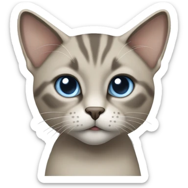 Thai breed cat with a light cream-brown body, dark gray face, ears, and paws. Short fur, sharp ears, and striking light blue eyes with an intense gaze. sticker