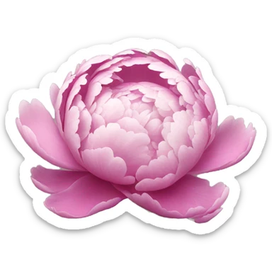 Peonies  sticker