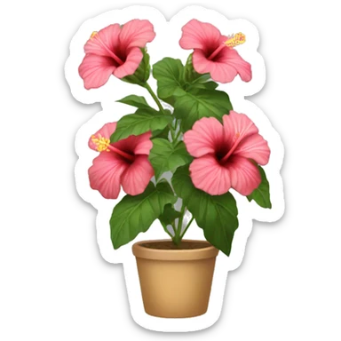 hibiscus  sticker