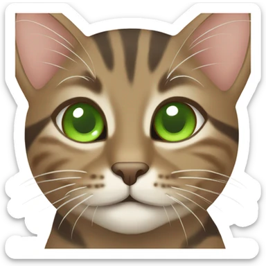 brown tabby cat with green eyes sticker