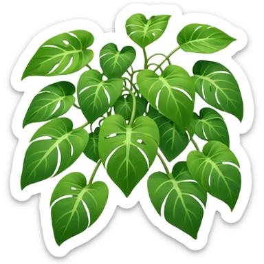 Long trailing pothos sticker