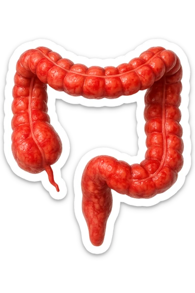 intestino umano anatomico infiammato, iperrealistico 4k, isolato su sfondo bianco sticker
