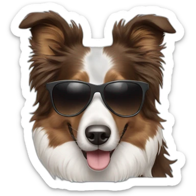 Border collie with sunglasses sticker