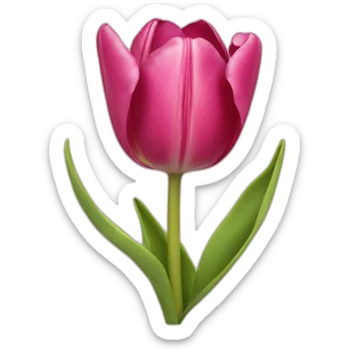 tulip sticker