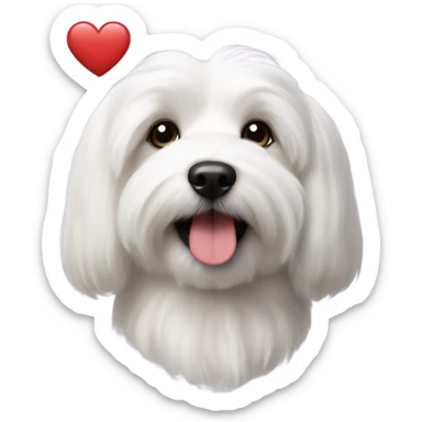Coton de Tulear dog with heart sticker