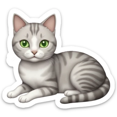 full body tiny short hair grey and white cat with white front legs and green  eyes lying down sticker