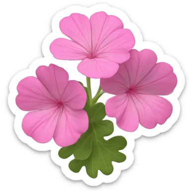Pink geranium sticker