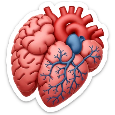Brain and heart sticker