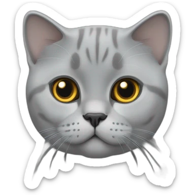 British Shorthair grey sticker