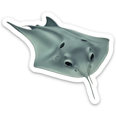 cownose stingray  sticker