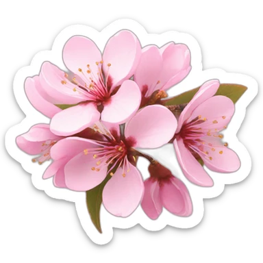 Cherry Blossom sticker