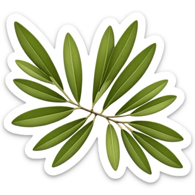 olive leaves sticker