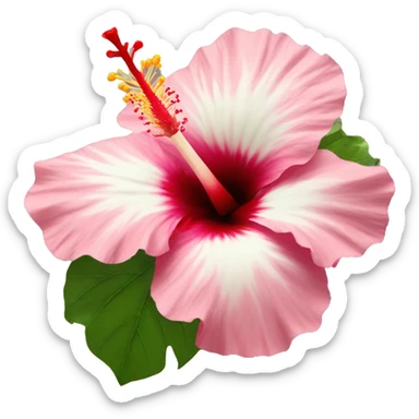 hibiscus sticker
