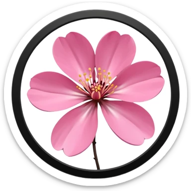 pink girly framed photo of a blossom sticker