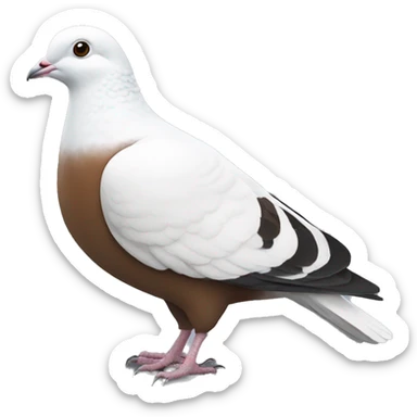 white and brown pigeon sticker