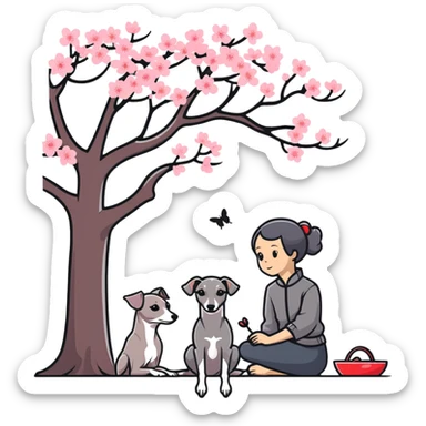 A young Chinese girl and a grey Italian Greyhound sitting under a cherry blossom tree sticker
