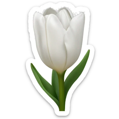 White tulipa sticker