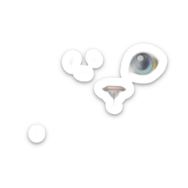 white fluffy cat with heterochromia sticker